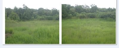 Lots/Land For sale in St. George, Barbados
